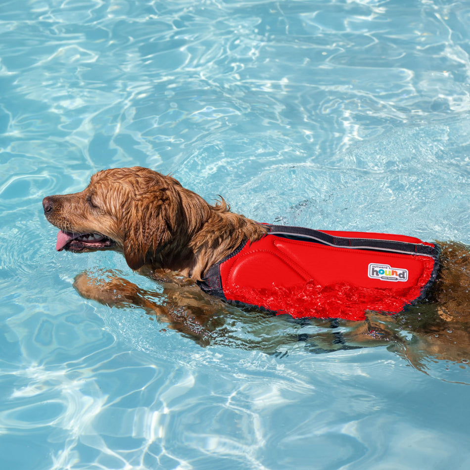 Outward Hound Dawson Swim Red Dog Life Jacket, XL